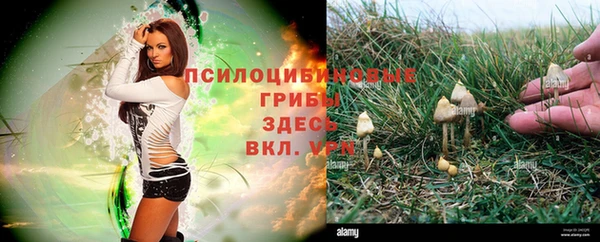 гидропоника Елабуга