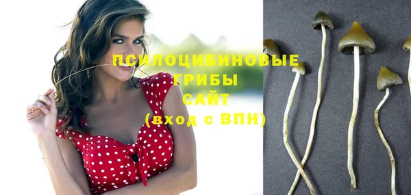 бошки Медногорск