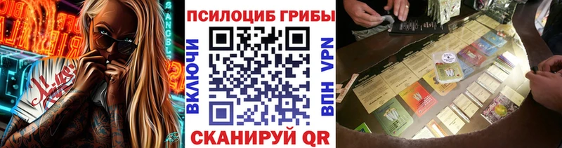 Галлюциногенные грибы Cubensis  Кропоткин 