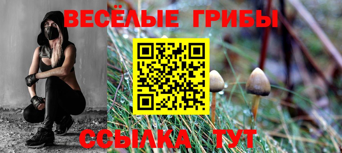Галлюциногенные грибы мухоморы  Галлюциногенные грибы ЛСД  Вход с VPN  Кропоткин 